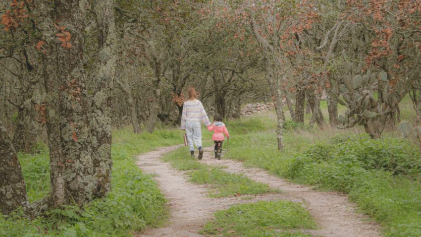 A mother and child walking hand in hand on a serene forest path in León de los Aldama, México.